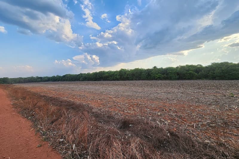 Foto 6 de 6: Area Rural em leilão em Ipiranga Do Norte - MT — LOTE 001 IMÓVEL RURAL COM ÁREA DE 83,7744HA, LOTEAMENTO RURAL ELDORADO, EM IPIRANGA DO NORTE/MT