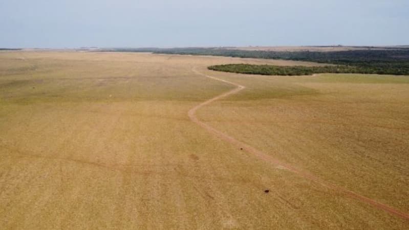 Foto 1 de 6: Area Rural em leilão em Jaciara - MT — LOTE 001 6 IMÓVEIS RURAIS situados na Comarca de Jaciara