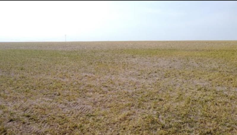Foto 2 de 6: Area Rural em leilão em Jaciara - MT — LOTE 001 6 IMÓVEIS RURAIS situados na Comarca de Jaciara