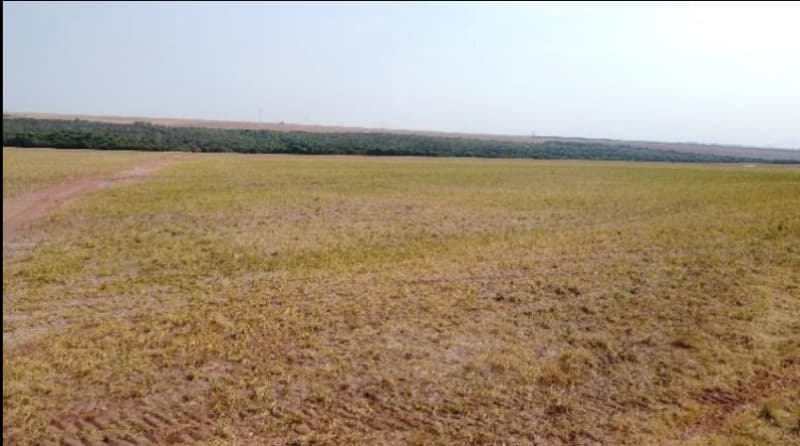 Foto 3 de 6: Area Rural em leilão em Jaciara - MT — LOTE 001 6 IMÓVEIS RURAIS situados na Comarca de Jaciara