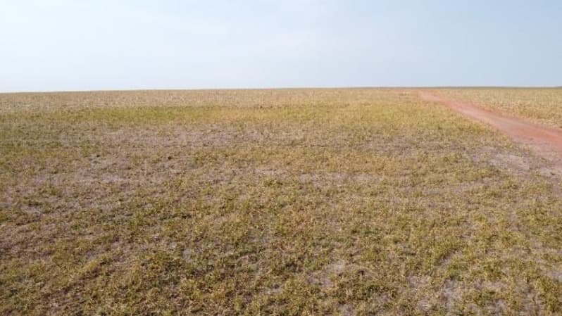 Foto 4 de 6: Area Rural em leilão em Jaciara - MT — LOTE 001 6 IMÓVEIS RURAIS situados na Comarca de Jaciara