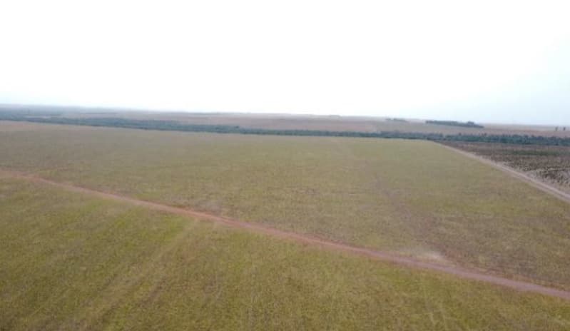 Foto 6 de 6: Area Rural em leilão em Jaciara - MT — LOTE 001 6 IMÓVEIS RURAIS situados na Comarca de Jaciara