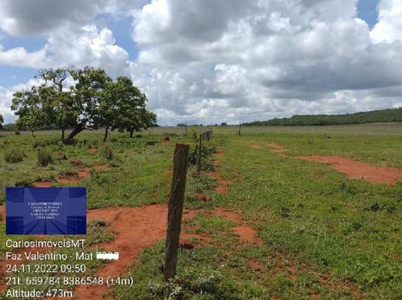 Foto 8 de 41: Area Rural em leilão em Rosário Oeste - MT — LOTE 001 IMÓVEL RURAL COM ÁREA DE 1.899,2700HAS, "FAZENDA VALENTINO", EM ROSÁRIO OESTE/MT