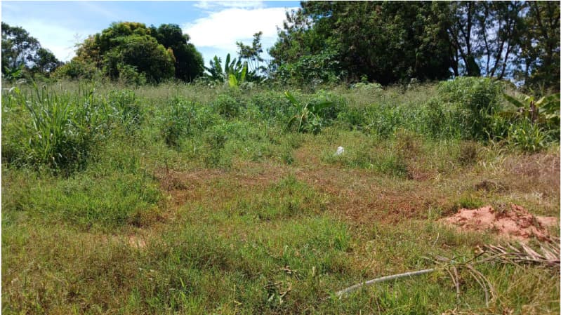 Foto 1 de 3: Terreno em leilão em São José Do Rio Claro - MT — LOTE 001 UM LOTE URBANO SOB Nº 12, DA QUADRA Nº 06, COM ÁREA DE 523,8437M²