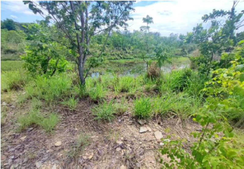Foto 23 de 33: Terreno em leilão em Cuiabá - MT — LOTE 001 IMÓVEL: ÁREA DE 32,64 HA, PERÍMETRO 4.086,91M- PESQUEIRO