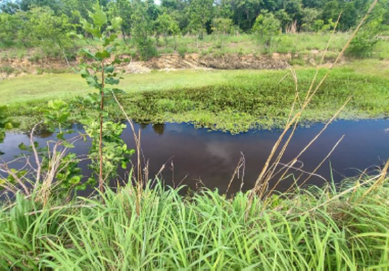 Foto 25 de 33: Terreno em leilão em Cuiabá - MT — LOTE 001 IMÓVEL: ÁREA DE 32,64 HA, PERÍMETRO 4.086,91M- PESQUEIRO