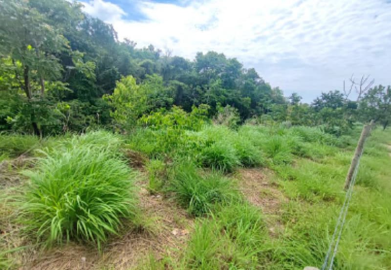 Foto 27 de 33: Terreno em leilão em Cuiabá - MT — LOTE 001 IMÓVEL: ÁREA DE 32,64 HA, PERÍMETRO 4.086,91M- PESQUEIRO