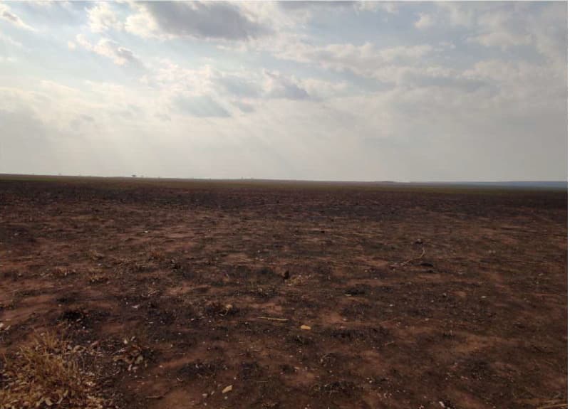 Foto 22 de 26: Area Rural em leilão em Chapada Dos Guimarães - MT — LOTE 001 “IMÓVEL: UMA ÁREA DE TERRAS COM 433,6083 ha, desmembrado da FAZENDA TRÊS PODERES I