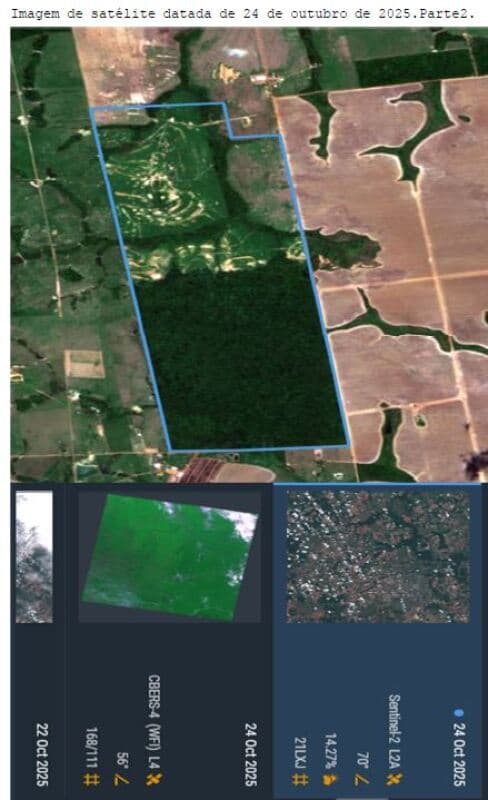 Foto 4 de 6: Area Rural em leilão em Nova Canaã Do Norte - MT — LOTE 001 FAZENDA NOVA AMÉRICA COM 555,9357 Hás, EM NOVA CANAÃ DO NORTE-MT.