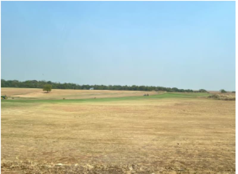 Foto 4 de 20: Terreno em leilão em Sorriso - MT — LOTE 001 IMÓVEL RURAL COM ÁREA DE 523,34 HAS, "VALO", EM SORRISO/MT
