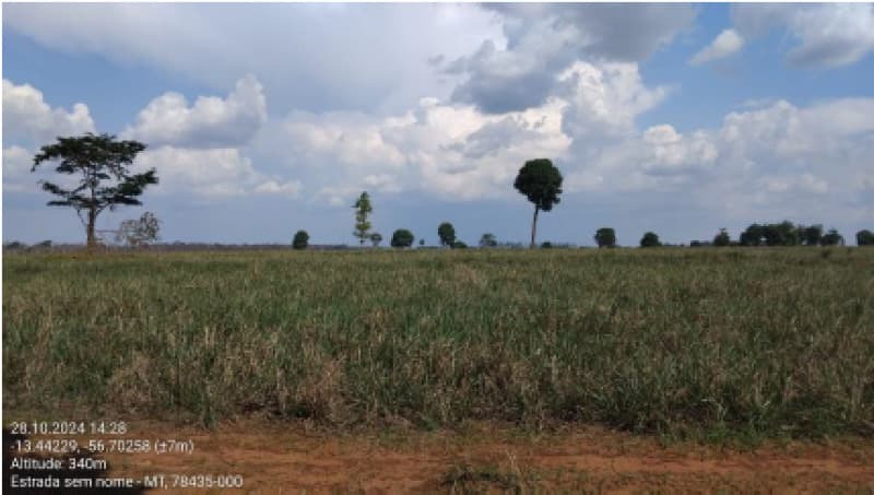 Foto 1 de 7: Terreno em leilão em São José Do Rio Claro - MT — LOTE 001 LEILÃO SICOOB - IMÓVEL RURAL DE SÃO JOSÉ DO RIO CLARO - MT C/12,10 ha