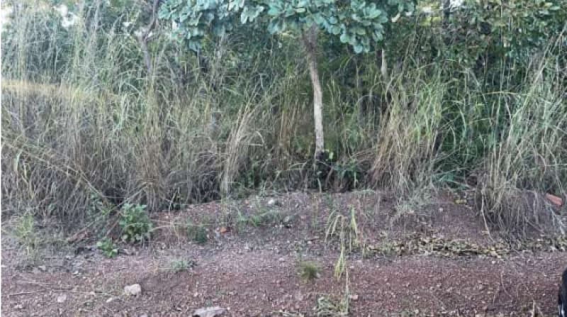 Foto 2 de 4: Terreno em leilão em Santo Antônio De Leverger - MT — LOTE 002 UM IMÓVEL, SITUADOS EM SANTO ANTÔNIO DO LEVERGER