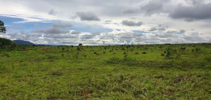 Foto 9 de 46: Area Rural em leilão em Rosário Oeste - MT — LOTE 001 IMÓVEL RURAL COM ÁREA DE 1.899,2700HAS, "FAZENDA VALENTINO", EM ROSÁRIO OESTE/MT