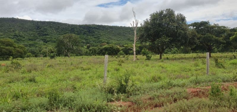 Foto 41 de 46: Area Rural em leilão em Rosário Oeste - MT — LOTE 001 IMÓVEL RURAL COM ÁREA DE 1.899,2700HAS, "FAZENDA VALENTINO", EM ROSÁRIO OESTE/MT