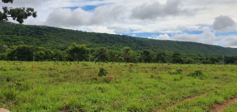 Foto 15 de 46: Area Rural em leilão em Rosário Oeste - MT — LOTE 001 IMÓVEL RURAL COM ÁREA DE 1.899,2700HAS, "FAZENDA VALENTINO", EM ROSÁRIO OESTE/MT