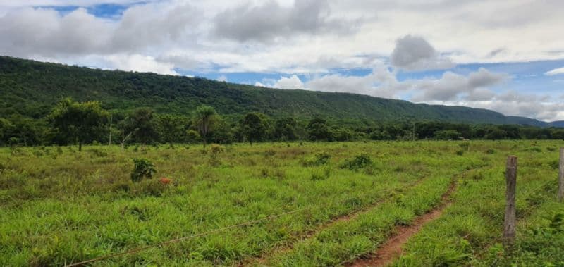 Foto 16 de 46: Area Rural em leilão em Rosário Oeste - MT — LOTE 001 IMÓVEL RURAL COM ÁREA DE 1.899,2700HAS, "FAZENDA VALENTINO", EM ROSÁRIO OESTE/MT