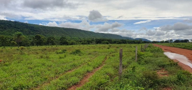 Foto 17 de 46: Area Rural em leilão em Rosário Oeste - MT — LOTE 001 IMÓVEL RURAL COM ÁREA DE 1.899,2700HAS, "FAZENDA VALENTINO", EM ROSÁRIO OESTE/MT