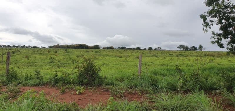 Foto 18 de 46: Area Rural em leilão em Rosário Oeste - MT — LOTE 001 IMÓVEL RURAL COM ÁREA DE 1.899,2700HAS, "FAZENDA VALENTINO", EM ROSÁRIO OESTE/MT
