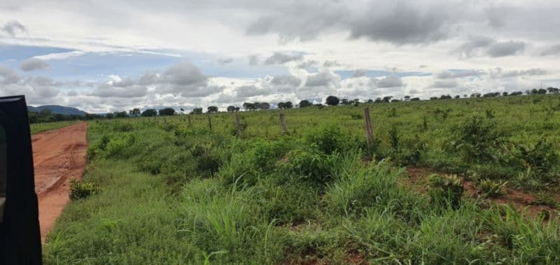 Foto 19 de 46: Area Rural em leilão em Rosário Oeste - MT — LOTE 001 IMÓVEL RURAL COM ÁREA DE 1.899,2700HAS, "FAZENDA VALENTINO", EM ROSÁRIO OESTE/MT
