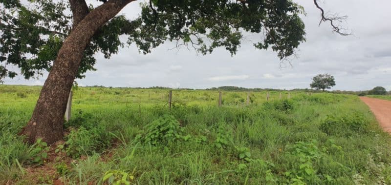 Foto 20 de 46: Area Rural em leilão em Rosário Oeste - MT — LOTE 001 IMÓVEL RURAL COM ÁREA DE 1.899,2700HAS, "FAZENDA VALENTINO", EM ROSÁRIO OESTE/MT