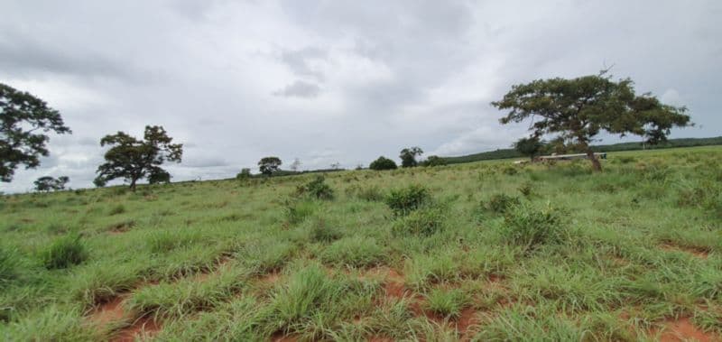 Foto 31 de 46: Area Rural em leilão em Rosário Oeste - MT — LOTE 001 IMÓVEL RURAL COM ÁREA DE 1.899,2700HAS, "FAZENDA VALENTINO", EM ROSÁRIO OESTE/MT