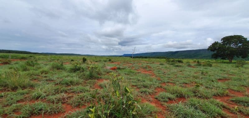 Foto 32 de 46: Area Rural em leilão em Rosário Oeste - MT — LOTE 001 IMÓVEL RURAL COM ÁREA DE 1.899,2700HAS, "FAZENDA VALENTINO", EM ROSÁRIO OESTE/MT