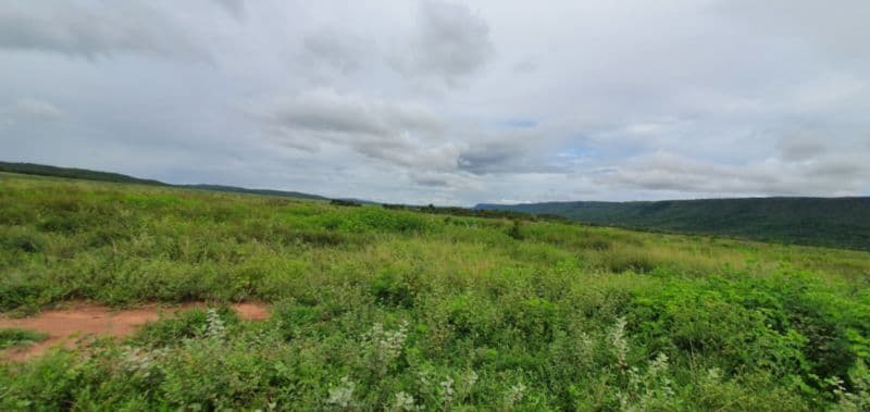 Foto 38 de 46: Area Rural em leilão em Rosário Oeste - MT — LOTE 001 IMÓVEL RURAL COM ÁREA DE 1.899,2700HAS, "FAZENDA VALENTINO", EM ROSÁRIO OESTE/MT