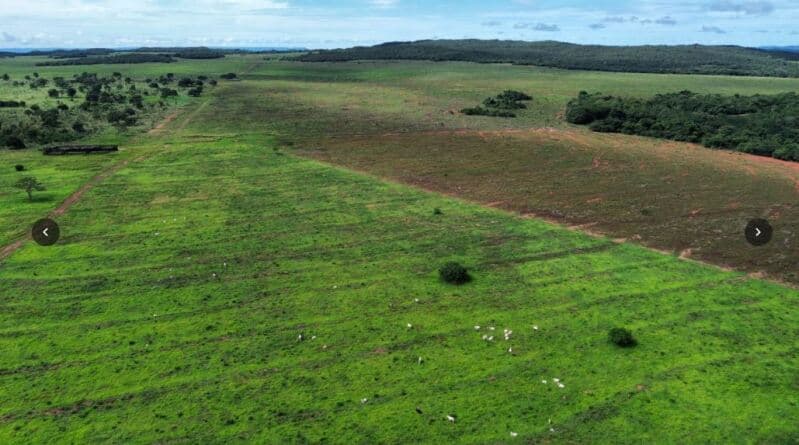Foto 44 de 46: Area Rural em leilão em Rosário Oeste - MT — LOTE 001 IMÓVEL RURAL COM ÁREA DE 1.899,2700HAS, "FAZENDA VALENTINO", EM ROSÁRIO OESTE/MT