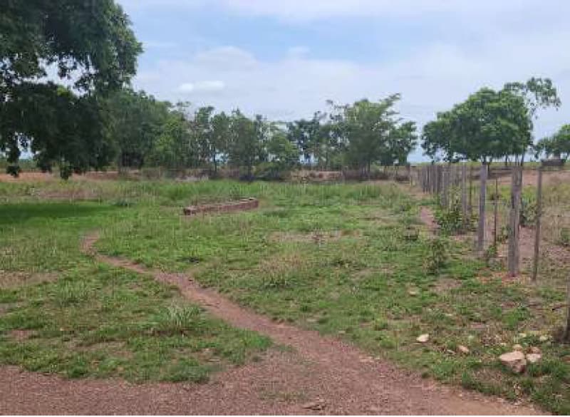 Foto 8 de 13: Area Rural em leilão em Nossa Senhora Do Livramento - MT — LOTE 001 LEILÃO JUDICIAL -2 VARA BANCARIA DE CUIABÁ- MT - UM IMÓVEL RURAL “DUAS RITAS” 50 hectares e
