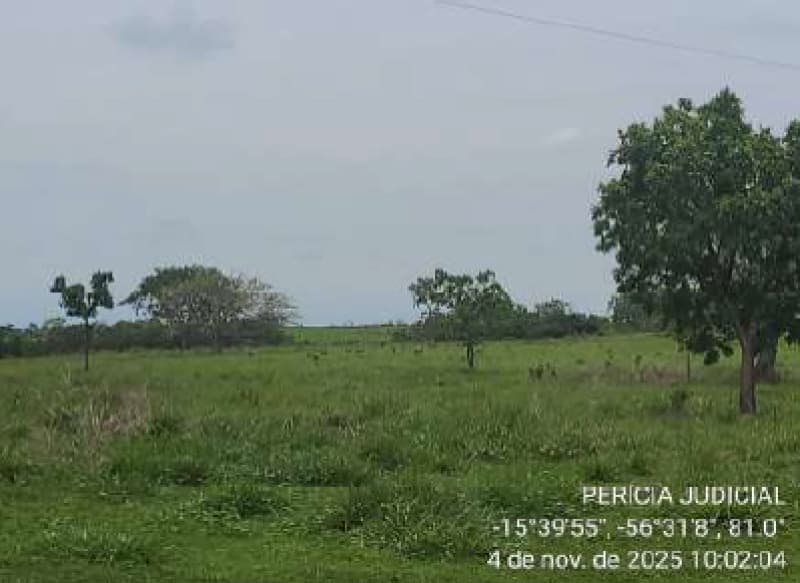 Foto 10 de 13: Area Rural em leilão em Nossa Senhora Do Livramento - MT — LOTE 001 LEILÃO JUDICIAL -2 VARA BANCARIA DE CUIABÁ- MT - UM IMÓVEL RURAL “DUAS RITAS” 50 hectares e