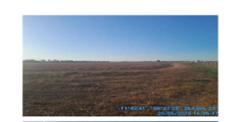 Foto 9 de 20: Area Rural em leilão em Sinop - MT, bairro Lídia — LOTE 001 LEILÃO DE IMÓVEIS SICOOB CREDISUL - IMÓVEL RURAL DENOMINADA GLEBA CELESTE