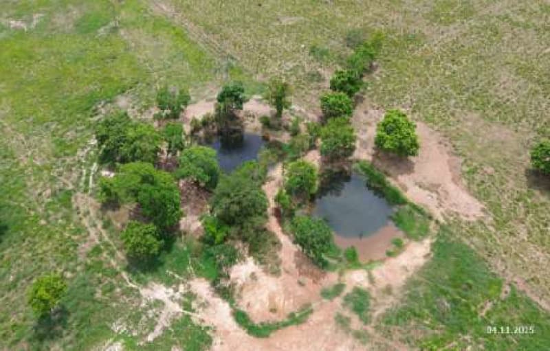 Foto 11 de 13: Area Rural em leilão em Nossa Senhora Do Livramento - MT — LOTE 001 LEILÃO JUDICIAL -2 VARA BANCARIA DE CUIABÁ- MT - UM IMÓVEL RURAL “DUAS RITAS” 50 hectares e