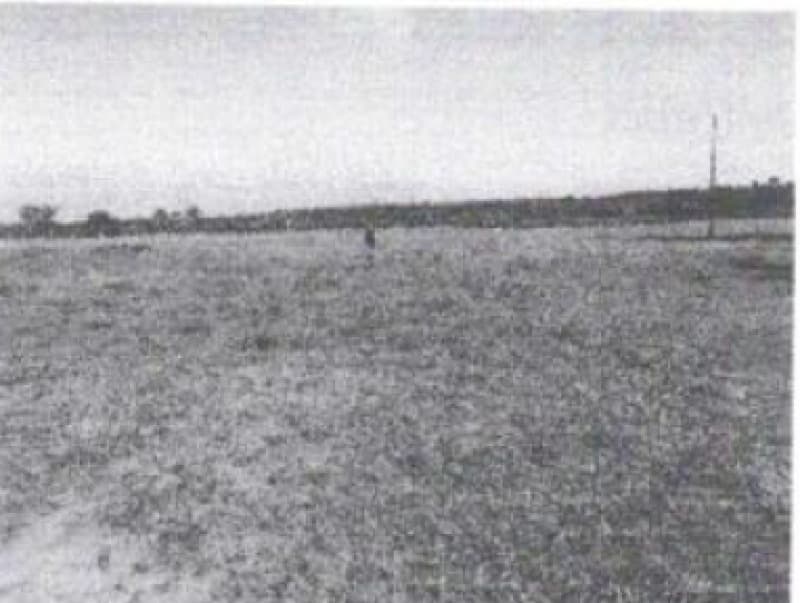 Foto 2 de 8: Area Rural em leilão em Alto Paraíso - RO — LOTE 001 IMÓVEL RURAL EM ALTO PARAÍSO/RO