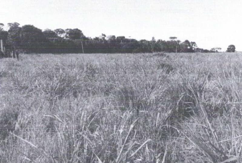 Area Rural em leilão em Alto Paraíso - RO — LOTE 002 PARTE IDEAL DE IMÓVEL RURAL EM ALTO PARAÍSO/RO