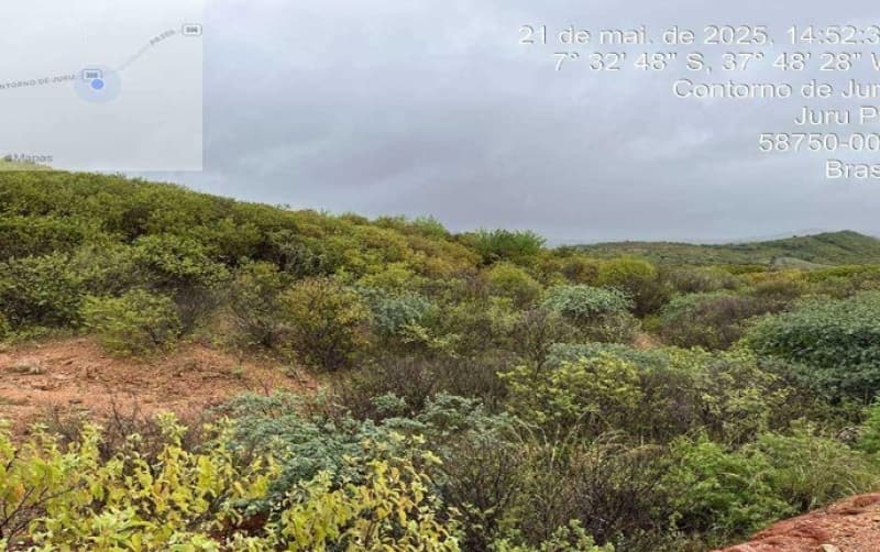 Foto 2 de 4: Area Rural em leilão em Juru - PB — LOTE 001 Imóvel denominado sitio alto grande, localizado no município de Juru-PB,