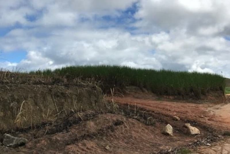 Foto 2 de 2: Area Rural em leilão em Água Preta - PE — LOTE 001 ENGENHO PIRAJÁ COM AREA DE 13,00 HA