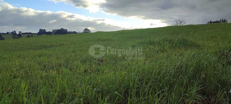 Foto 1 de 9: Imóvel em leilão em Santo Ângelo - RS — LOTE 007 Uma fração de terras, c/área de 3has, situada no lugar denominado Olhos d’água - SANTO ÂNGE