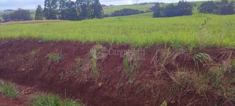 Foto 2 de 9: Imóvel em leilão em Santo Ângelo - RS — LOTE 007 Uma fração de terras, c/área de 3has, situada no lugar denominado Olhos d’água - SANTO ÂNGE