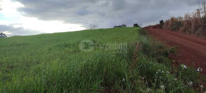 Foto 3 de 9: Imóvel em leilão em Santo Ângelo - RS — LOTE 007 Uma fração de terras, c/área de 3has, situada no lugar denominado Olhos d’água - SANTO ÂNGE