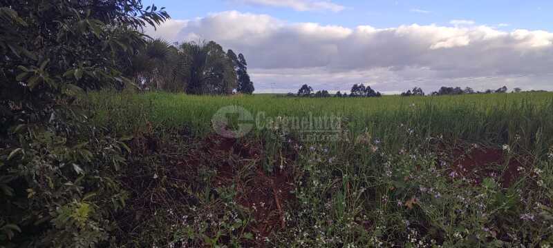 Foto 4 de 9: Imóvel em leilão em Santo Ângelo - RS — LOTE 007 Uma fração de terras, c/área de 3has, situada no lugar denominado Olhos d’água - SANTO ÂNGE