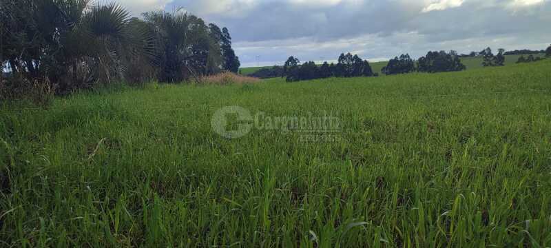 Foto 5 de 9: Imóvel em leilão em Santo Ângelo - RS — LOTE 007 Uma fração de terras, c/área de 3has, situada no lugar denominado Olhos d’água - SANTO ÂNGE