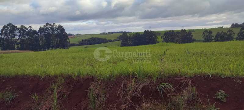 Foto 6 de 9: Imóvel em leilão em Santo Ângelo - RS — LOTE 007 Uma fração de terras, c/área de 3has, situada no lugar denominado Olhos d’água - SANTO ÂNGE