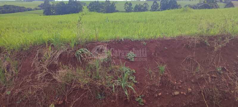 Foto 7 de 9: Imóvel em leilão em Santo Ângelo - RS — LOTE 007 Uma fração de terras, c/área de 3has, situada no lugar denominado Olhos d’água - SANTO ÂNGE