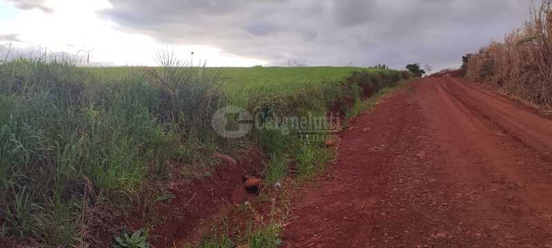 Foto 8 de 9: Imóvel em leilão em Santo Ângelo - RS — LOTE 007 Uma fração de terras, c/área de 3has, situada no lugar denominado Olhos d’água - SANTO ÂNGE