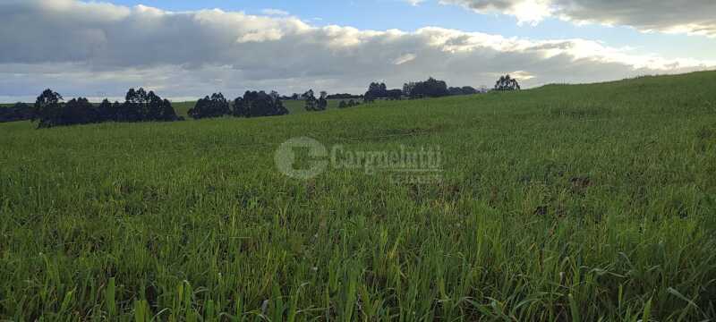 Foto 9 de 9: Imóvel em leilão em Santo Ângelo - RS — LOTE 007 Uma fração de terras, c/área de 3has, situada no lugar denominado Olhos d’água - SANTO ÂNGE