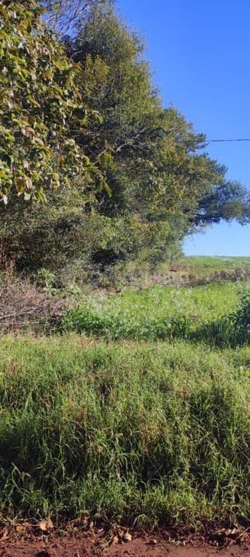 Foto 3 de 16: Area Rural em leilão em Roque Gonzales - RS — LOTE 004-1 50.000m² da Fazenda Cerro Pelado (Esquina Fátima), em Roque Gonzales/RS