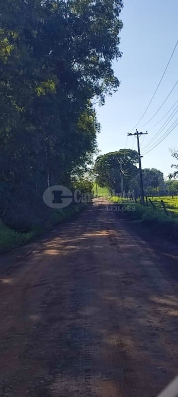 Foto 8 de 16: Area Rural em leilão em Roque Gonzales - RS — LOTE 004-1 50.000m² da Fazenda Cerro Pelado (Esquina Fátima), em Roque Gonzales/RS
