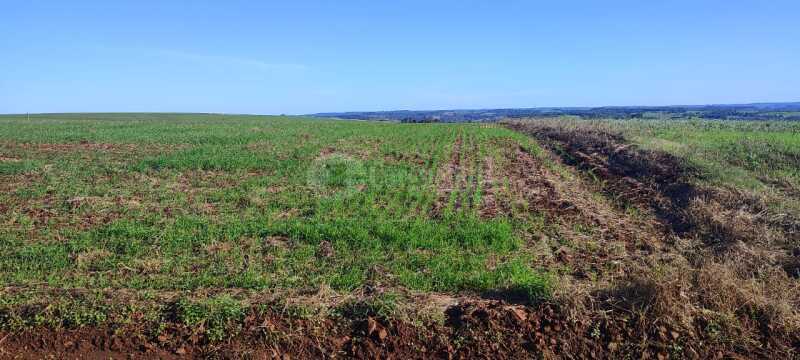 Foto 16 de 16: Area Rural em leilão em Roque Gonzales - RS — LOTE 004-1 50.000m² da Fazenda Cerro Pelado (Esquina Fátima), em Roque Gonzales/RS