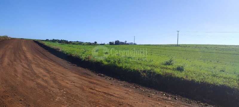 Foto 9 de 16: Area Rural em leilão em Roque Gonzales - RS — LOTE 004-2 17.865,5m², do lote rural nº 7-A, da Fazenda Cerro Pelado (Esquina Fátima), em Roque Gonz