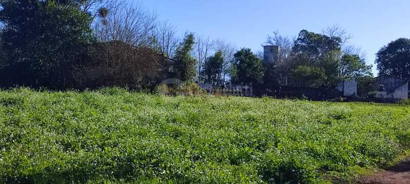 Foto 11 de 16: Area Rural em leilão em Roque Gonzales - RS — LOTE 004-2 17.865,5m², do lote rural nº 7-A, da Fazenda Cerro Pelado (Esquina Fátima), em Roque Gonz